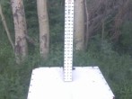 Archiv Foto Webcam Snow Stake Park City 05:00