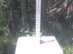 Archiv Foto Webcam Snow Stake Park City 11:00