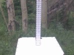 Archiv Foto Webcam Snow Stake Park City 07:00