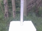 Archiv Foto Webcam Snow Stake Park City 11:00