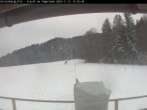 Archiv Foto Webcam Blick auf die Piste im Skigebiet Hirschberg Kreuth 13:00