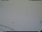 Archiv Foto Webcam mit Blick auf das Skigebiet Springenboden 13:00