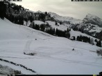 Archiv Foto Webcam mit Blick auf das Skigebiet Springenboden 09:00