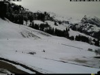 Archiv Foto Webcam mit Blick auf das Skigebiet Springenboden 11:00