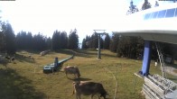 Archiv Foto Webcam Kinderland Grüsch Danusa 17:00