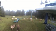 Archiv Foto Webcam Kinderland Grüsch Danusa 07:00