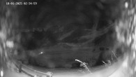 Archiv Foto Webcam Ladurns: Piste an der Ladurner Alm 01:00