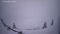 Archiv Foto Webcam Ladurns: Piste an der Ladurner Alm 11:00