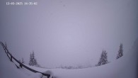 Archiv Foto Webcam Ladurns: Piste an der Ladurner Alm 13:00