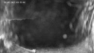 Archived image Webcam Ladurns: Slope Ladurner Alm 03:00