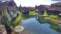 Archiv Foto Webcam INNs HOLZ Natur- & Vitalhotel, Chaletdorf Böhmerwald 13:00