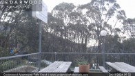 Archiv Foto Webcam Falls Creek: Cedarwood Apartments 05:00