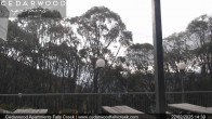 Archiv Foto Webcam Falls Creek: Cedarwood Apartments 13:00