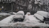 Archiv Foto Webcam Falls Creek: Cedarwood Apartments 11:00
