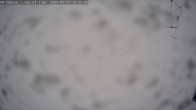 Archiv Foto Webcam Mt Dobson: Fairline Ridge T-Bar 11:00