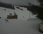 Archived image Webcam Administration - Chapelco 11:00