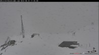 Archiv Foto Webcam Whistler Peak 10:00