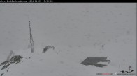 Archiv Foto Webcam Whistler Peak 12:00