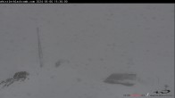 Archiv Foto Webcam Whistler Peak 14:00