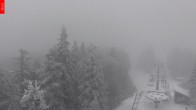 Archived image Webcam Lookout Tower Špičák 07:00