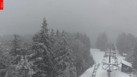 Archiv Foto Webcam Aussichtsturm Špičák - Spitzberg 11:00