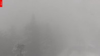 Archiv Foto Webcam Aussichtsturm Špičák - Spitzberg 11:00