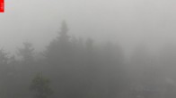 Archived image Webcam Lookout Tower Špičák 05:00
