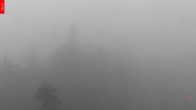 Archived image Webcam Lookout Tower Špičák 06:00