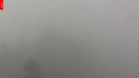 Archived image Webcam Lookout Tower Špičák 07:00