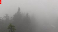 Archived image Webcam Lookout Tower Špičák 09:00