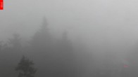 Archiv Foto Webcam Aussichtsturm Špičák - Spitzberg 08:00