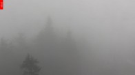 Archiv Foto Webcam Aussichtsturm Špičák - Spitzberg 12:00