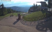 Archived image Webcam Teufelsberg Peak 17:00