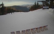 Archiv Foto Webcam Harrachov: Teufelsberg Gipfel 08:00