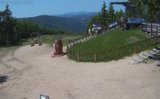 Archiv Foto Webcam Harrachov: Teufelsberg Gipfel 11:00