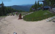 Archiv Foto Webcam Harrachov: Teufelsberg Gipfel 13:00