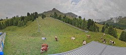 Archiv Foto Webcam Panoramablick von der Mittelstation in Schöneben 13:00