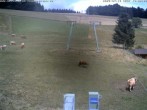 Archiv Foto Webcam Winkellift in Muggenbrunn 11:00