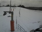 Archiv Foto Webcam Wasenlift Muggenbrunn 11:00