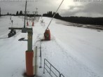 Archived image Webcam Wasenlift - Muggenbrunn Ski Resort 11:00