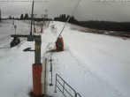 Archived image Webcam Wasenlift - Muggenbrunn Ski Resort 15:00