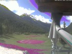 Archived image Webcam Golfclub Matterhorn, Oberes Mattertal 09:00