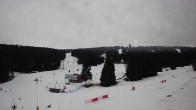 Archived image Webcam Ski school Klinovec 13:00