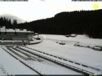 Archiv Foto Webcam Pokljuka: Blick ins Biathlonstadion 11:00