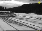 Archiv Foto Webcam Pokljuka: Blick ins Biathlonstadion 19:00
