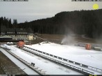 Archiv Foto Webcam Pokljuka: Blick ins Biathlonstadion 11:00