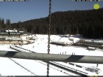 Archiv Foto Webcam Pokljuka: Blick ins Biathlonstadion 11:00