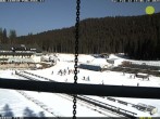 Archiv Foto Webcam Pokljuka: Blick ins Biathlonstadion 13:00