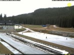 Archiv Foto Webcam Pokljuka: Blick ins Biathlonstadion 01:00
