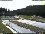 Archiv Foto Webcam Pokljuka: Blick ins Biathlonstadion 07:00